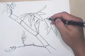 绘画入门教程，竹子的画法，一看就会哦！