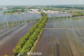 “讲奉献、比干劲” 兰家镇为打赢农村人居环境整治项目总决战图片