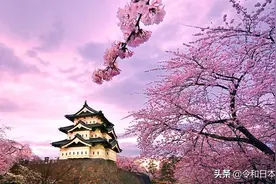 日本“三大名城”及其景色一览图片