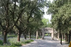 “胡说八道”是指哪八道？“六亲不认”是指哪六亲？看完长见识了图片