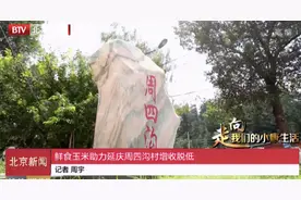 【京声京视】北京广电唱响脱贫攻坚主旋律 同频共振引舆论 融合传播铸精品图片
