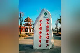 天下黄河富宁夏：引黄灌溉造就“塞上江南”图片