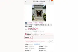 1.155亿起拍的桃花源别墅流拍！内部奢豪装修闪瞎人的眼图片