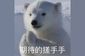 全区总人口322.9万，平均年龄35.7岁！容桂人口最多！一图读懂顺德人口大数据图片