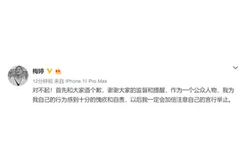 梅婷就乘机时脚踩显示屏道歉，为自己的行为感到愧疚图片