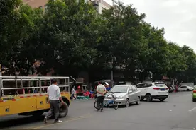 湖南大叔迎娶广东富家女，本以为迟到的幸福，却未想从此失了自我图片