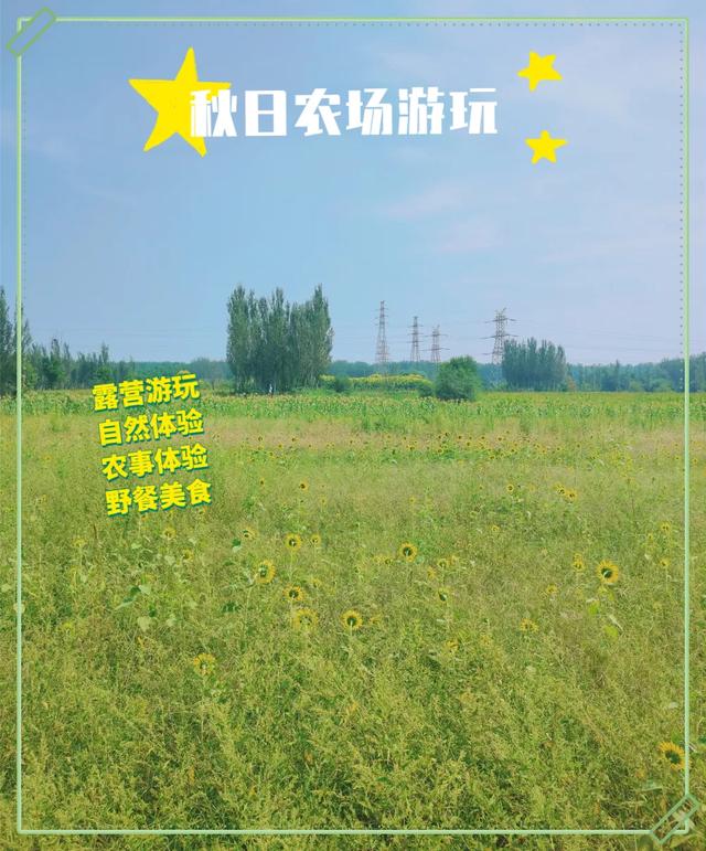 秋日农场嗨玩！露营野餐，种菜摘果，过向往的田园生活