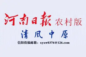 光山县：大塘渗水不能满足灌溉，巡察组督促“破塘”很快修好图片
