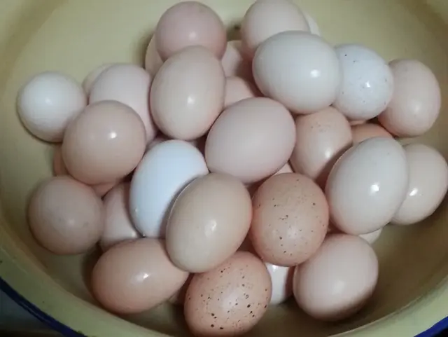 现在腌咸鸭蛋最合适，3步搞定，半个月就能吃，个个金黄起沙流油