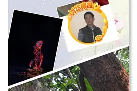 现在大部分的伽南香料并不是论克买卖图片