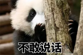 “答辩答辩疯狂道歉”，用梗图表示答辩等级表，是卑微的我没错了图片