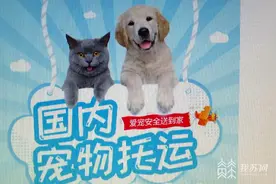 宠物托运发生死亡，赔偿怎么算？图片