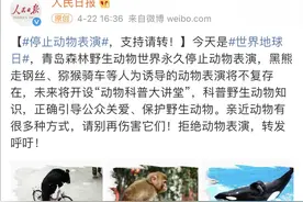 五一假期，带孩子远离动物表演，它们的每一步都是血泪！图片