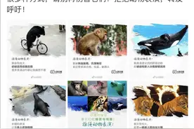 五一假期，带孩子远离动物表演，它们的每一步都是血泪！图片