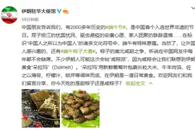 咸甜之争，伊朗朋友也来站队！还顺便给“伊朗粽子”打广告图片