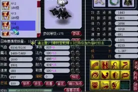 梦幻西游：耐攻宝宝在任务中的适用性图片