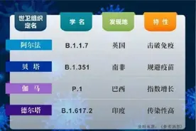 最新！新冠病毒仍在变异！这4种毒株严重威胁人类图片