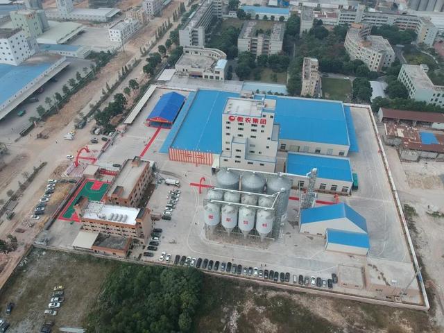 防非禁抗时代，傲农母猪料设计理念让人耳目一新