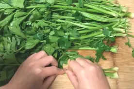 芹菜饺子，需要焯水吗很多人错了，看后分享家人视频封面