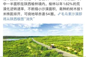 干掉千年沙漠，种出8个韩国：中国人种树到底有多牛？图片