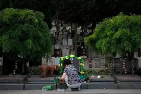 校园里的快递车碾死了22岁女研究生，也碾碎了她父母的后半生图片
