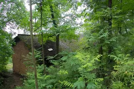 时隔半年，寻访秦岭深山同一户人家，没想竟大变样，到底发生了啥图片