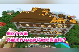 我的世界原版生存32：找林地府邸隐藏宝藏的最快方法？代价有点大