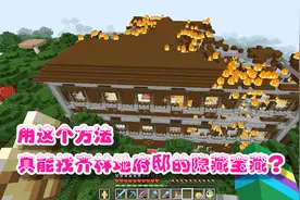 我的世界原版生存32：找林地府邸隐藏宝藏的最快方法？代价有点大