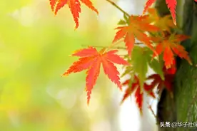 天津企业退休人员死亡有多少钱？图片