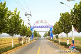 爱家乡 游河北 发现身边的美 | 十里和煦春风 万亩油菜花海图片
