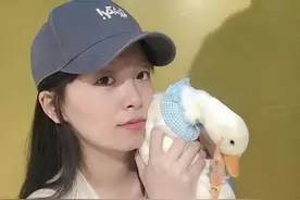 宠物界新晋网红！温州95后小姐姐的撸鸭店火了，顾客排队解压图片
