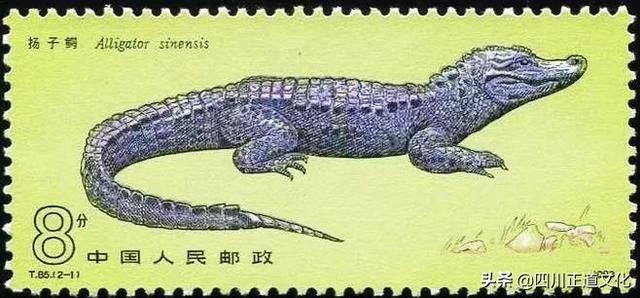 荆楚大地湖北，怎么简称“鄂”？