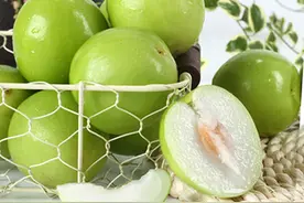 还记得你吃过的台湾蜜枣吗，它可称圣果图片