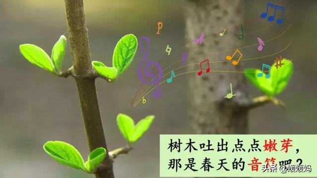 二年级下册语文课文2《找春天》图文详解及同步练习