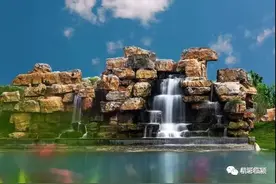 桂湖五彩森林公园已经建设的这么美了图片