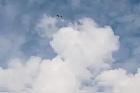你喜欢史上霸气女强人之一的武则天吗？图片