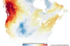南大西洋铁树开花：“阿根廷台风”出现并有风眼！全球气候乱了？图片