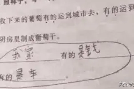 小学生“倒数第一”试卷走红，老师：你的智商已经超越地球人极限图片