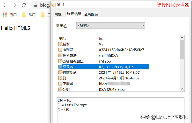 如何快速搭建一个公网https网站,权威机构免费颁发数字证书