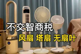 风扇都是智商税？风扇、塔扇、循环扇以及无扇叶的全面对比图片