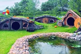 3亩破农家院“逆袭”，漂亮得像公园，成为沈阳最网红的打卡地图片