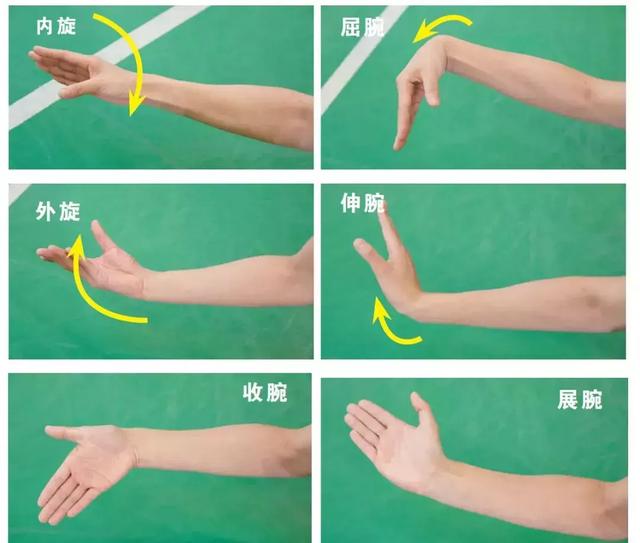 【羽毛球快速入门】lesson 8丨 练就属于你的“千手观音” 羽毛球发球技术详解