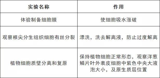醋酸洋红是染什么的，洋红是什么（高中生物颜色反应汇总）