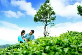 布依族追求女孩是这样的图片