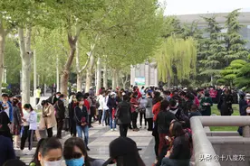 戴口罩也要相亲！实拍石家庄最大相亲角，80后是主力军图片
