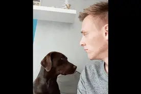 「忍住别笑」网络上那些有毒的gif 吃货看到别人吃东西时候的样子