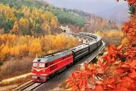 老年旅游专列都有哪几趟？图片