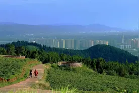 探秘！金堂这个星空露营宝藏地，终于被发现了图片