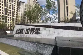 居然之家长春挖“坑”：房地产领域信访矛盾该重视了图片