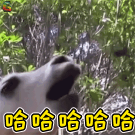 夏可叔叔扒产品——国产氨基酸洁面大盘点